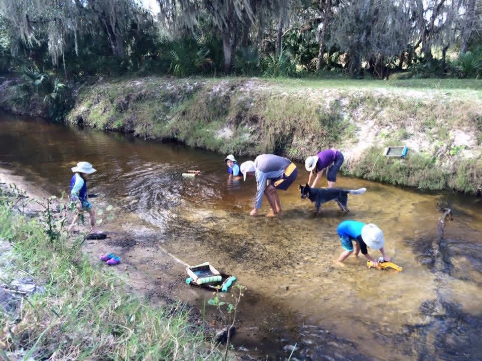 Fieldwork in Florida
