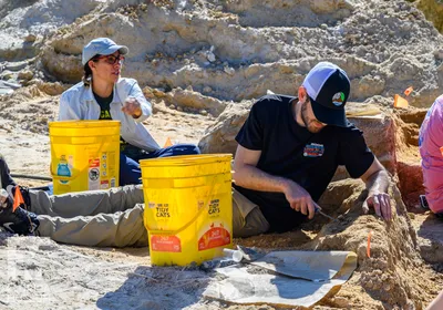 Scientists and teachers excavating fossils in the field at Montbrook