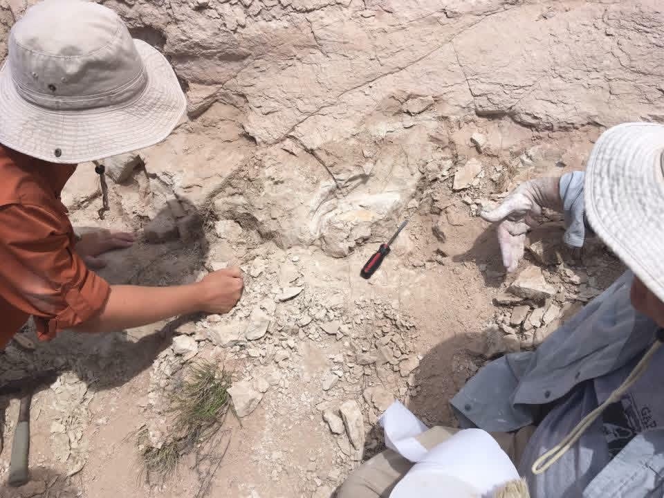 Fieldwork in New Mexico