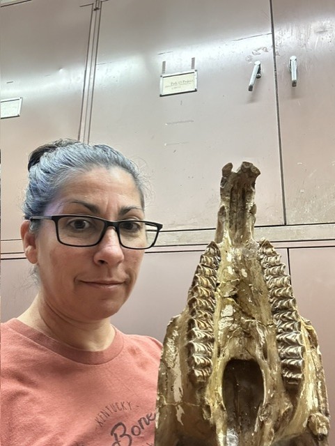 UC Museum of Paleontology